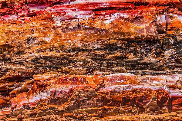 Perry, William 아티스트의 Red-orange and yellow petrified wood abstract-Blue Mesa-Petrified Forest National Park-Arizona작품입니다.